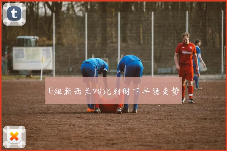 G组新西兰vs比利时下半场走势