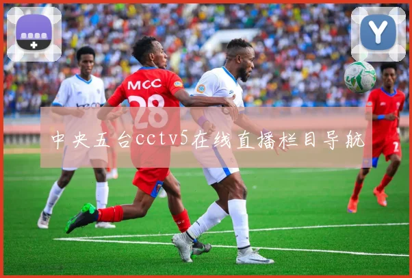 中央五台cctv5在线直播栏目导航
