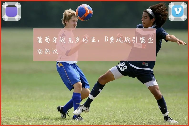 葡萄牙战克罗地亚，B费观战引爆全场热议