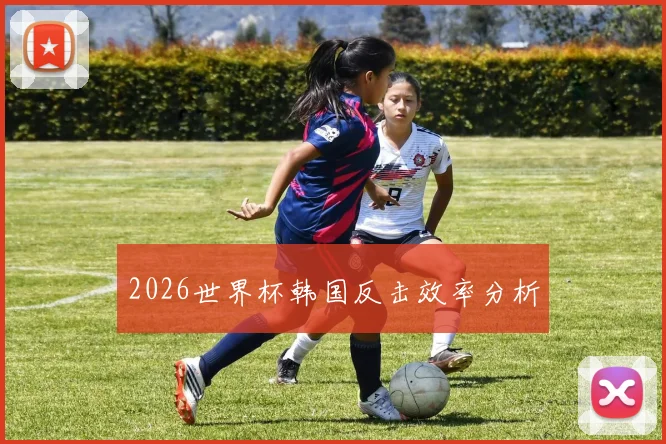 2026世界杯韩国反击效率分析