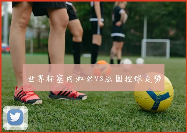 世界杯塞内加尔vs法国控球走势
